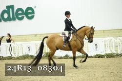 24R13_08304 thumbnail