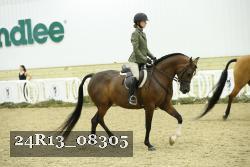 24R13_08305 thumbnail