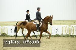 24R13_08306 thumbnail