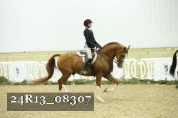 24R13_08307 thumbnail