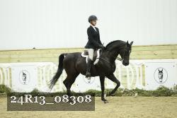 24R13_08308 thumbnail