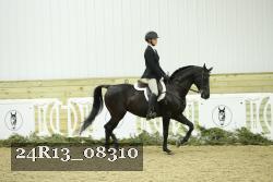 24R13_08310 thumbnail