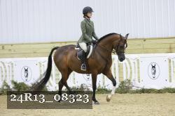 24R13_08323 thumbnail