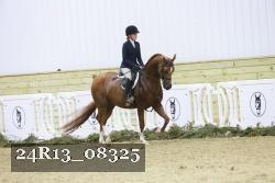 24R13_08325 thumbnail