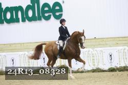 24R13_08328 thumbnail