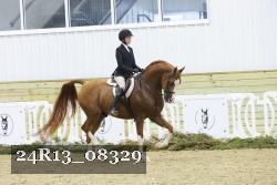 24R13_08329 thumbnail