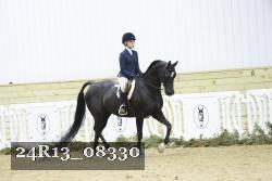 24R13_08330 thumbnail