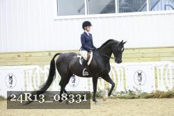 24R13_08331 thumbnail