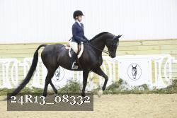 24R13_08332 thumbnail