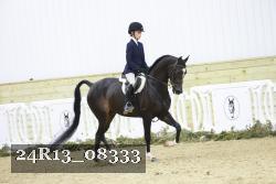 24R13_08333 thumbnail
