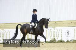 24R13_08334 thumbnail