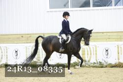 24R13_08335 thumbnail