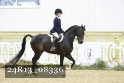 24R13_08336 thumbnail