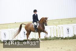 24R13_08337 thumbnail