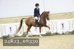 24R13_08339 thumbnail