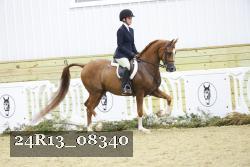 24R13_08340 thumbnail