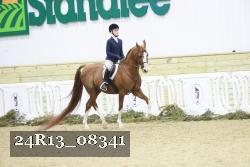 24R13_08341 thumbnail