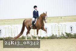 24R13_08342 thumbnail