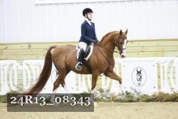 24R13_08343 thumbnail