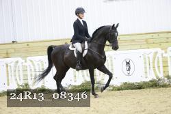 24R13_08346 thumbnail