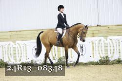 24R13_08348 thumbnail