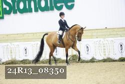 24R13_08350 thumbnail