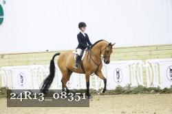24R13_08351 thumbnail