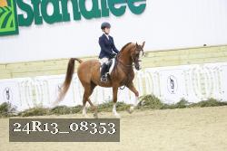 24R13_08353 thumbnail