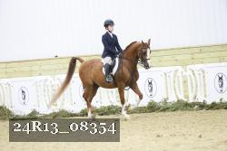 24R13_08354 thumbnail
