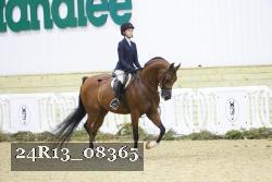24R13_08365 thumbnail