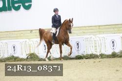 24R13_08371 thumbnail