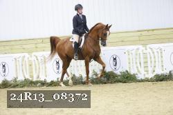 24R13_08372 thumbnail