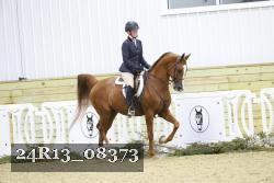 24R13_08373 thumbnail