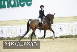 24R13_08374 thumbnail