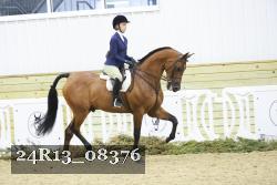 24R13_08376 thumbnail