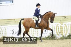 24R13_08377 thumbnail