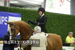 24R13_08389 thumbnail