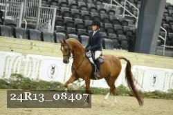 24R13_08407 thumbnail