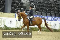 24R13_08409 thumbnail