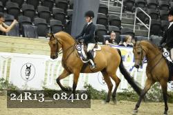24R13_08410 thumbnail