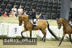 24R13_08411 thumbnail