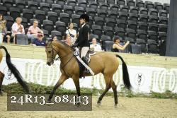 24R13_08413 thumbnail