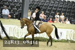 24R13_08414 thumbnail
