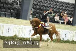 24R13_08415 thumbnail