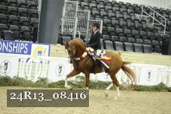 24R13_08416 thumbnail