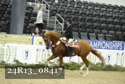 24R13_08417 thumbnail
