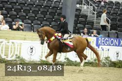 24R13_08418 thumbnail
