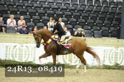 24R13_08419 thumbnail