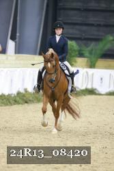 24R13_08420 thumbnail
