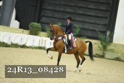24R13_08428 thumbnail